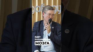 И зевнул, и пообщался. 2 в 1. Почему? Смотрите в лектории ЭФКО «Мозг и сон»