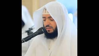 سورة الكوثر | وديع اليمني