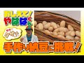 おしえて！やはばくん「手作り納豆に挑戦！」
