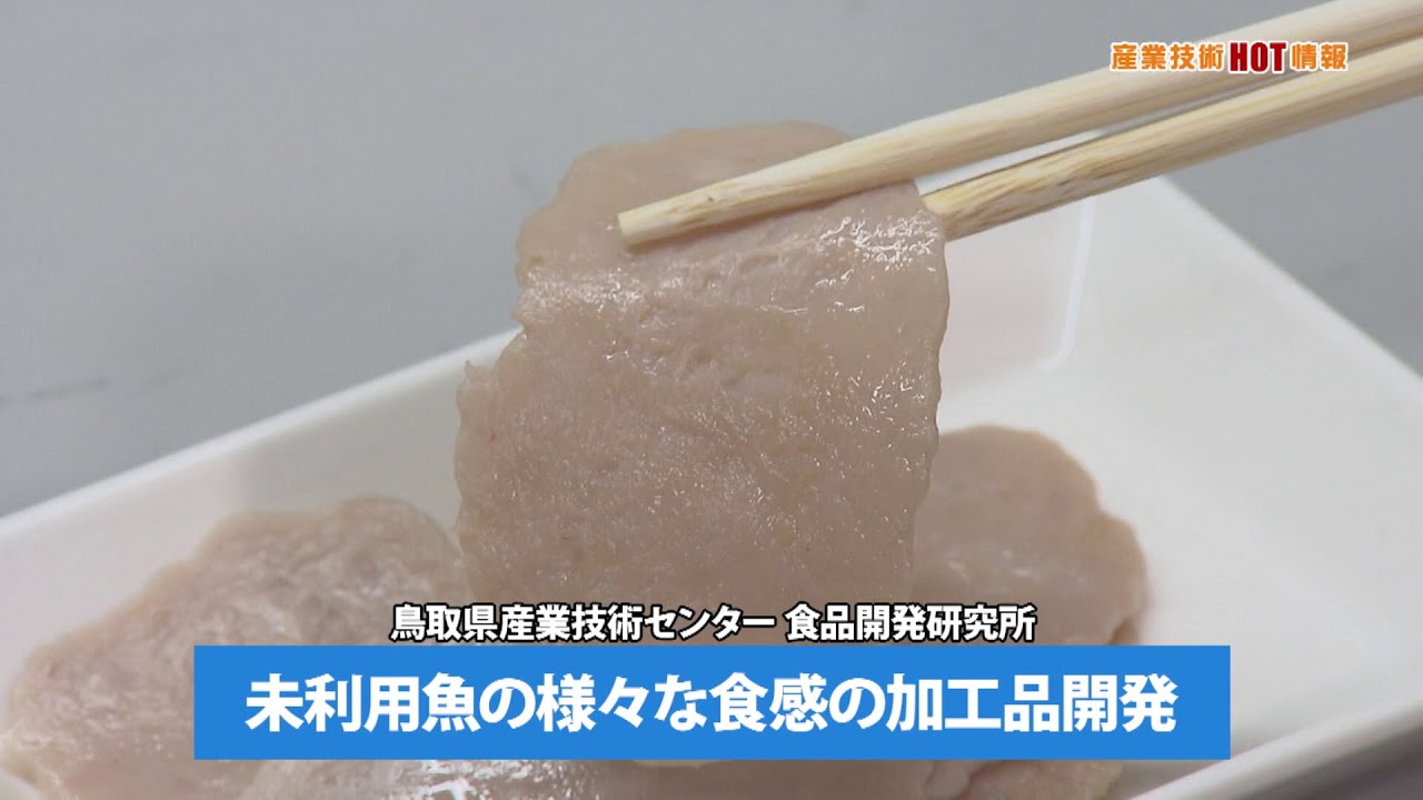 産業技術HOT情報：未利用魚の様々な食感の加工品開発（2024.7） - YouTube