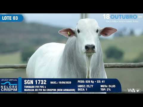 LOTE 03 SGN 1732