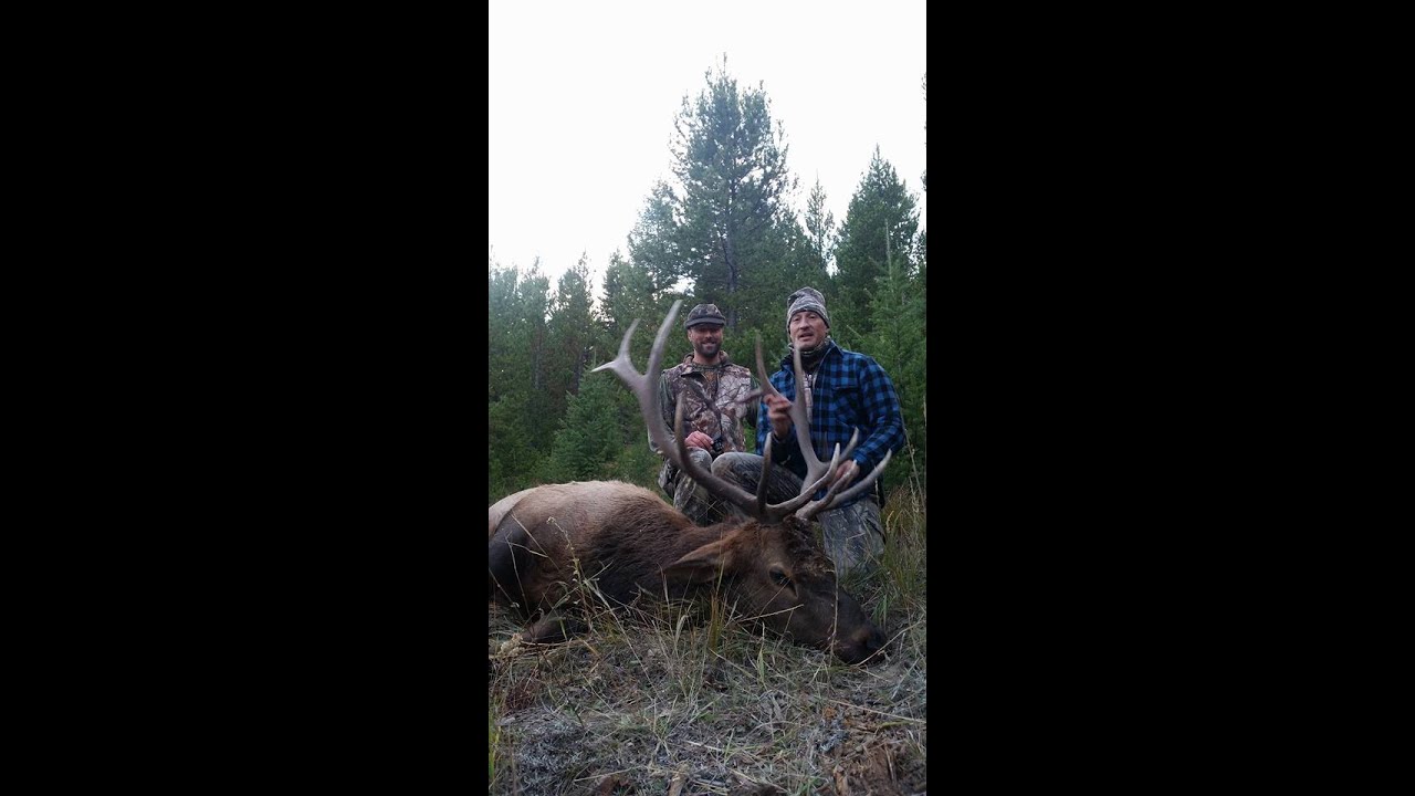 archery elk hunting montana 2015 (+ deer hunting) YouTube