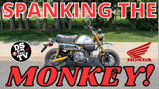Honda Monkey on and Off Road Test and Review