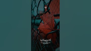 سورة الغاشية #عبدالرحمن_مسعد