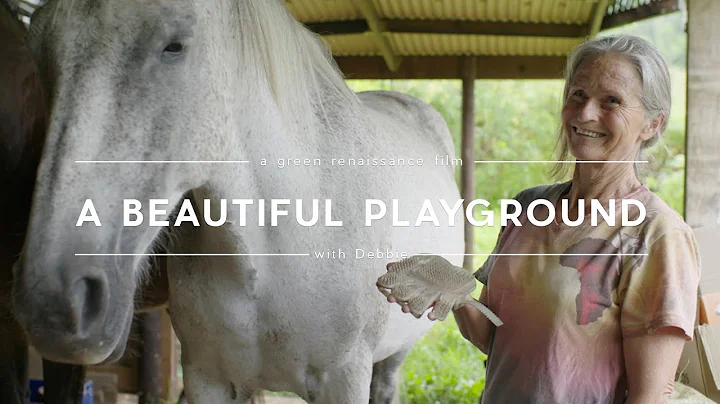 A Beautiful Playground