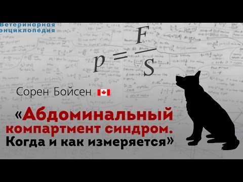 Абдоминальный компартмент синдром, когда и как измеряется. Abdominal Compartment Syndrome