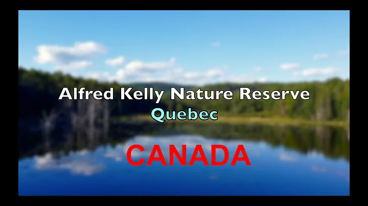 Alfred Kelly Nature Reserve in Quebec, Montreal, C...