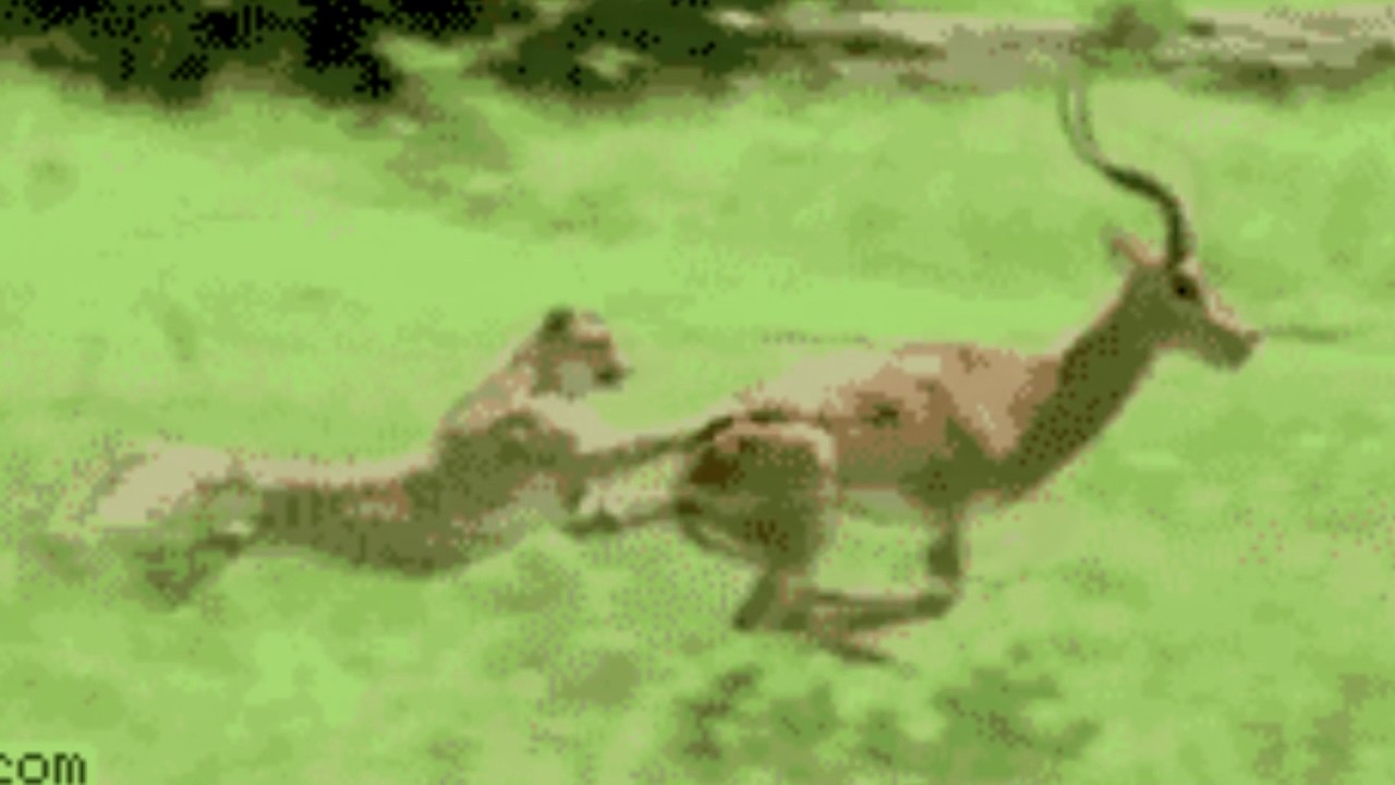 Nature Is Beautiful (Windows)