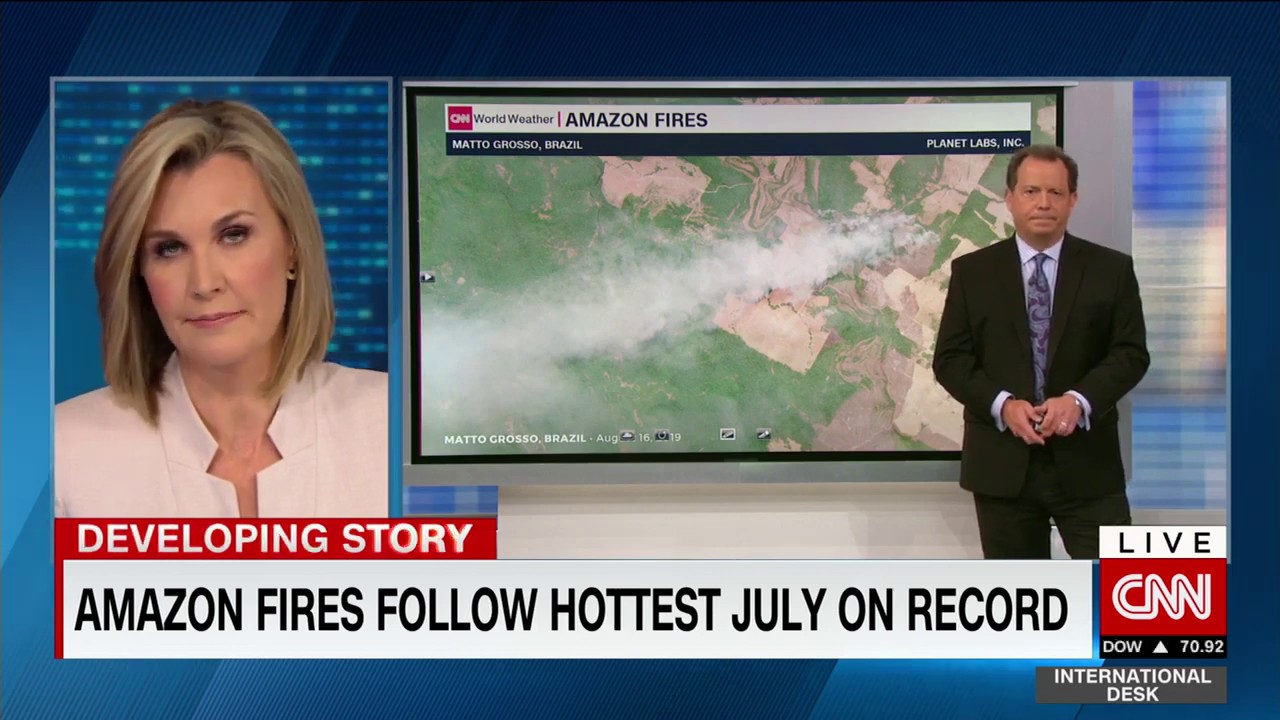 Amazon forest fire | meeting on Amazon forest fire in the Brazil | rescue Amazon forest's animals