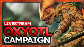 Oxyotl the rat slayer - Total war Warhammer 3