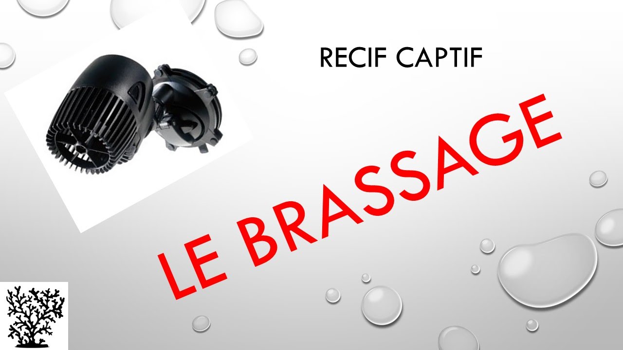 Le brassage explication - Mr Recif Captif #30