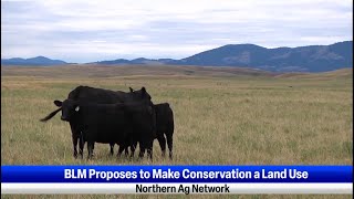 BLM Proposes to Make Conservation a Land Use and Ag Groups Fight Emissions Reporting from SEC.