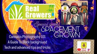 Cannabis Photography 101: (advanced tips & tricks) 📸🌱