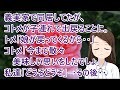 【スカッとする話 自業自得】義実家で同居してたが、コトメが子連れで出戻ることに。トメ「娘が戻ってくるから・・」コトメ「今まで散々美味しい思いをしたでしょ」私達「どうぞどうぞ」→その後・・