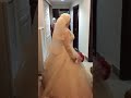 شكله بعد حب سنين