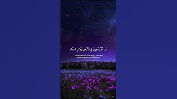 آيات مؤثرة من سورة العنكبوت القارئ عبدالرحمن مسعد