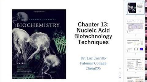 CHEM205 CH13:Nucleic Acid Biotechnology Techniques Part1