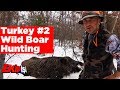 Wild Boar Hunting Turkey 2 Team Work охота на кабана صيد الخنازير البرية