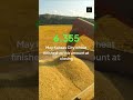 Cattle Surge While Corn &amp; Beans Climb! 🌽🐄 Ag Markets in 30 Seconds #shorts  #farming #soybeans