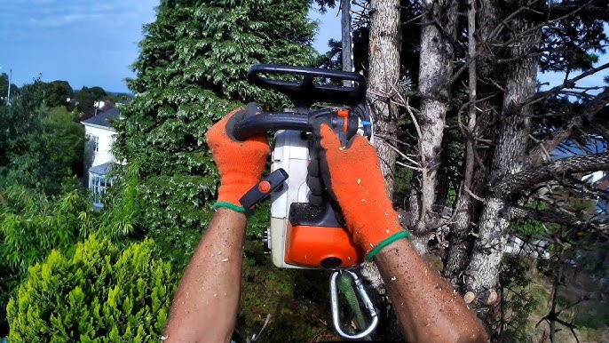 Bûcheronnage et progression vers le verger - Capitaine Jack - YouTube