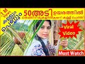 How to collect toddy from coconut  toddy tapping      jyothimani  vlog 99
