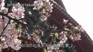 20110314_淡水天元宮櫻花季 2