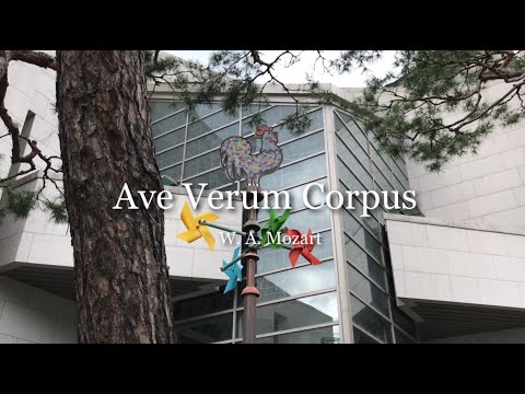 영상썸네일