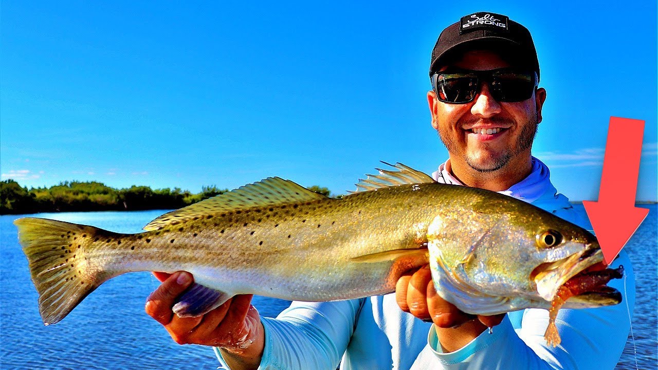 Best Tactics To Catch Finicky Fish: Lures, Rigs, & Strategy