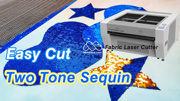 Sequin Fashion Design: cut two tone sequin fabric (dress, pillow, bag)