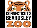 Sniffen productions beardsley zoo