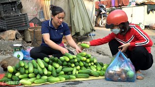 Harvesting Cucumber Garden goes to the market sell | Lý Thị Ca