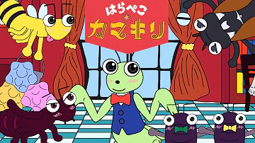 昆虫すごいぜ キリギリス 昆虫すごいぜ キリギリス