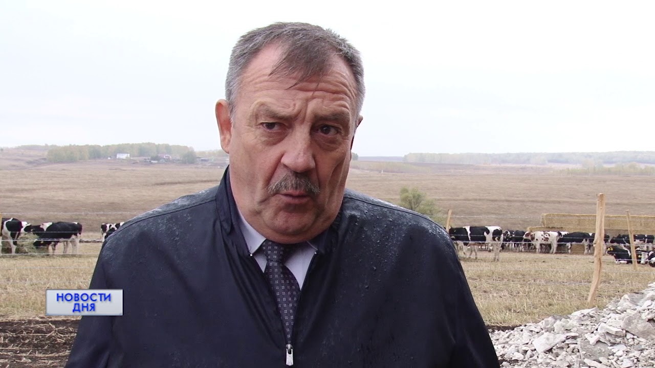 Тоо северная нива