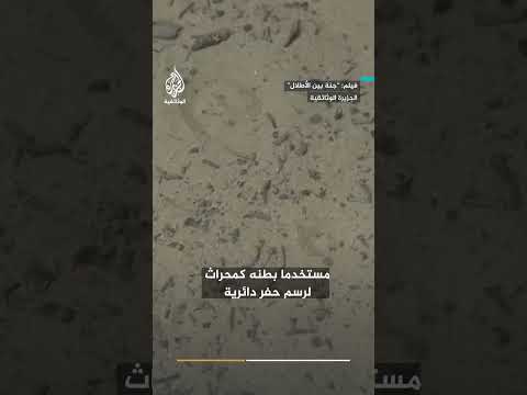 بين أروقة منجم مهجور كيف يصطاد أسد النمل ضحاياه