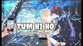 'Tum Hi Ho' Aashiqui 2 Full Song With Lyrics| Aditya Roy Kapur, Shraddha Kapoor