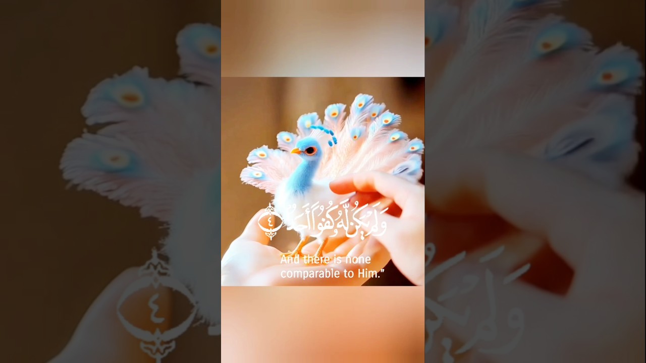 October 2, 2024al Quran 