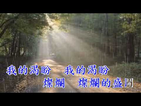 第一縷晨光