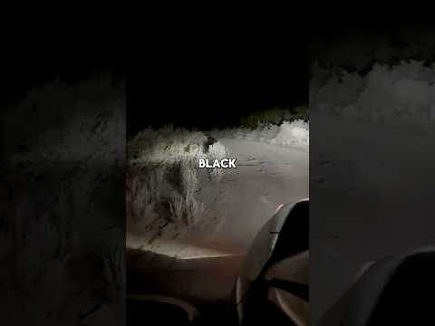 This Road Surprised Me 