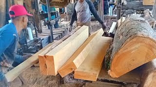 Menggergaji kayu Medang dan kayu Pulai