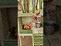 Bamboo Mini House + Desi Taste = Peace ❤️ #shorts #woodworking #minihouse