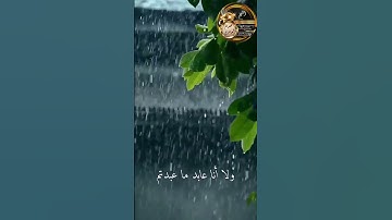 سورة الكافرون /بصوت الشيخ: عصام العامري   تلاوة جميلة #حالات_واتس
