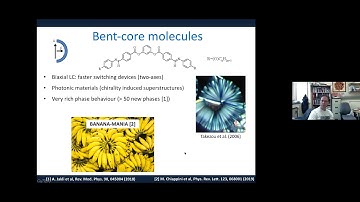 CFTC seminar: Shaping colloidal bananas to reveal biaxial, splay-bend nematic, and smectic phases