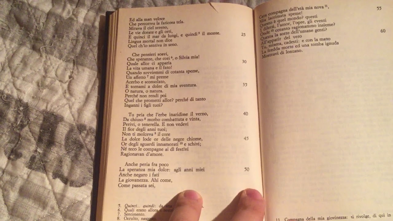 Commento Personale A Silvia Di Giacomo Leopardi