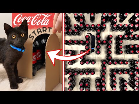 Pet Panther vs Giant Coca-Cola Maze