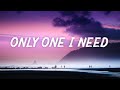 William Black - Only One I Need (Lyrics) with HALIENE &amp; Thomas Laurent