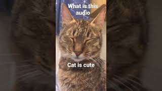 What is that audio