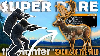 SUPER RARE on a GUIDED HUNT!!!  Call of the Wild