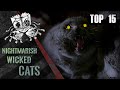 Top 15 Nightmarish Wicked Cats in Horror Movies