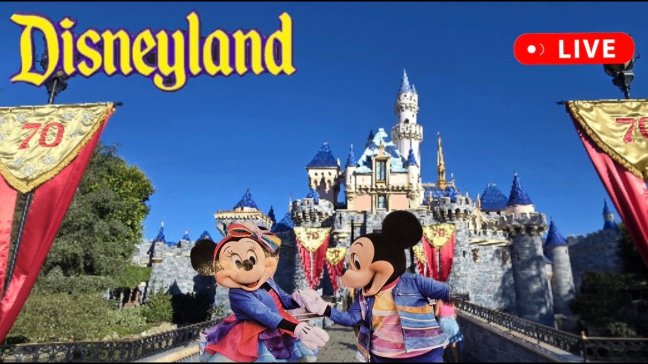 Disneyland Fun Day 2