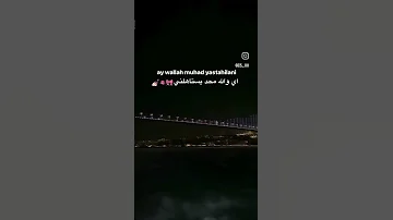 يامدلع الدلع دلعني ياود كدا ترندات تحفيزي اقتباس دلع هيفاء وهبي اغاني ترند اغاني تيكتوك السعودية 